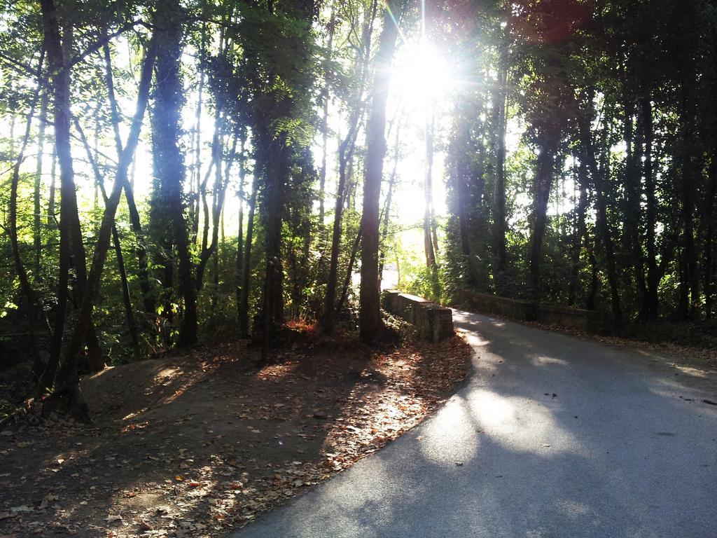 Casa Rural Can Miquel - En Pleno Bosque Y Cerca De La Playa - Increibles Rutas Btt Santa Coloma De Farners Buitenkant foto