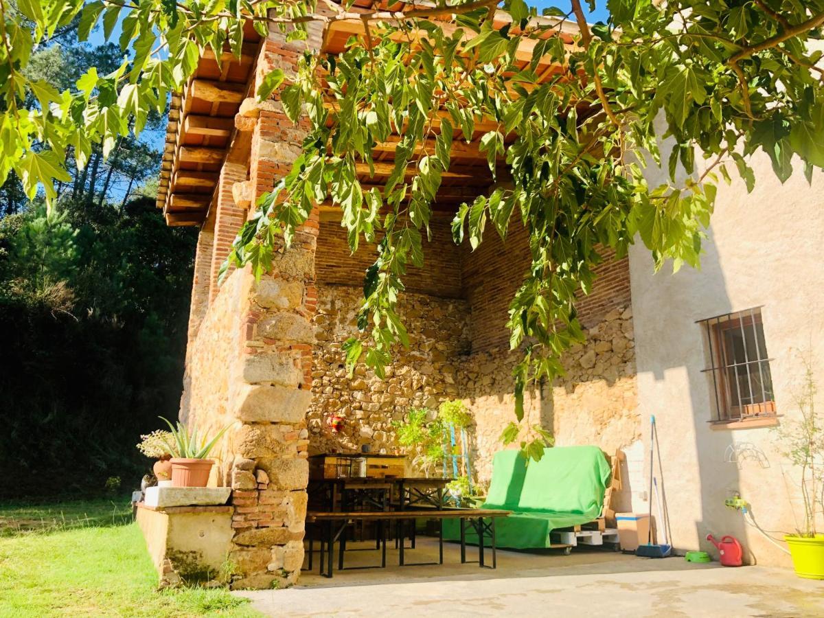Casa Rural Can Miquel - En Pleno Bosque Y Cerca De La Playa - Increibles Rutas Btt Santa Coloma De Farners Buitenkant foto