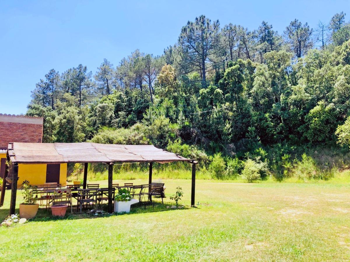 Casa Rural Can Miquel - En Pleno Bosque Y Cerca De La Playa - Increibles Rutas Btt Santa Coloma De Farners Buitenkant foto