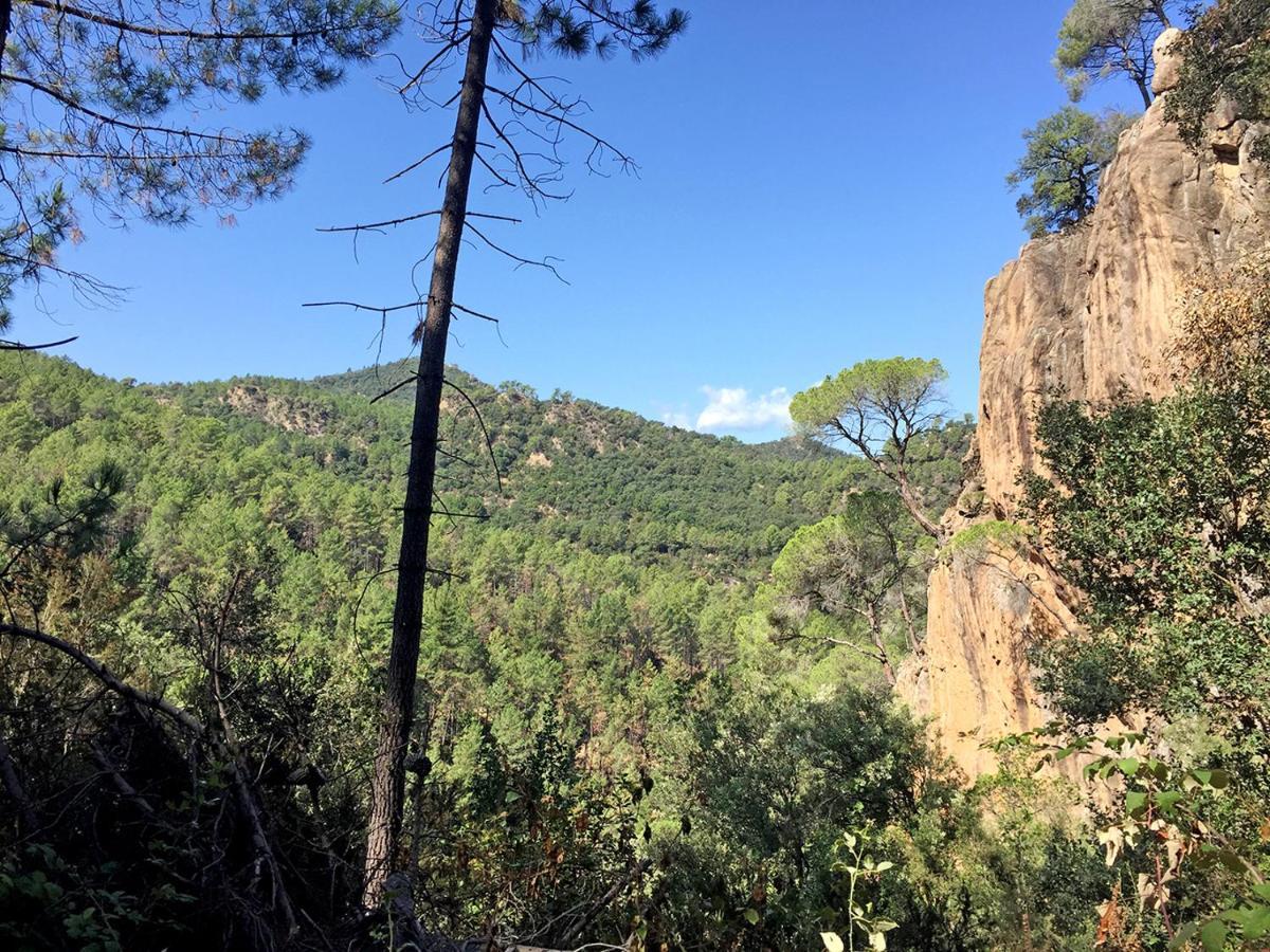 Casa Rural Can Miquel - En Pleno Bosque Y Cerca De La Playa - Increibles Rutas Btt Santa Coloma De Farners Buitenkant foto